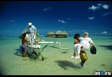 Tags: tahiti, vacation (Pict. in National Geographic Photo Of The Day 2001-2009)