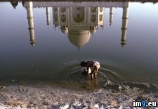 Tags: mahal, reflection, taj (Pict. in National Geographic Photo Of The Day 2001-2009)