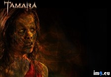 Tags: horror, movies, tamara (Pict. in Horror Movie Wallpapers)