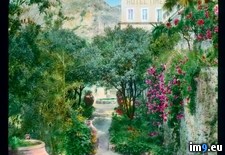 Tags: gardens, hotel, taormina, timeo (Pict. in Branson DeCou Stock Images)