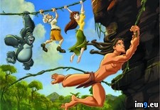 Tags: 24x768, cartoons, for, friends1, hanging, kids, tarzan (Pict. in Cartoon Wallpapers And Pics)