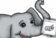Tags: design, tattoo (Pict. in Misc. Animal Tattoos)