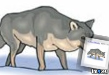 Tattoo Design: 1069 (#Tattoo #Design ) - 5 KB Tags: design, tattoo (Pict. in Misc. Animal Tattoos)