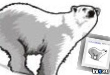 Tattoo Design: 1078 (#Tattoo #Design ) - 5 KB Tags: design, tattoo (Pict. in Misc. Animal Tattoos)