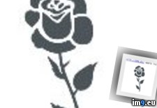 Tags: design, tattoo (Pict. in Rose Tattoos)