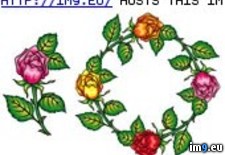 Tags: 2fl, design, rosebellyring, tattoo (Pict. in Rose Tattoos)
