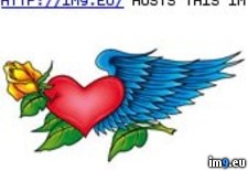 Tags: 2fl, design, rosewing, tattoo (Pict. in Rose Tattoos)