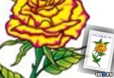 Tags: 2fl, design, rose, tattoo, yellow (Pict. in Rose Tattoos)