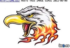 Tags: 3x2, design, tattoo (Pict. in Eagle Tattoos)
