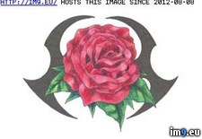 Tags: 3x2, design, tattoo (Pict. in Rose Tattoos)