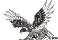 Tags: design, tattoo (Pict. in Eagle Tattoos)