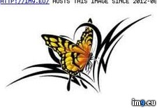 Tags: bi6, design, monarch, tattoo, tribal (Pict. in Butterfly Tattoos)