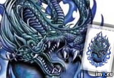 Tags: all, bid2, blue, design, dragon, tattoo (Pict. in Dragon Tattoos)