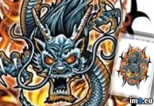 Tags: bid2, design, fiery, gray, redeyed, tattoo (Pict. in Dragon Tattoos)