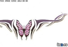Tags: bilb3, design, tattoo (Pict. in Butterfly Tattoos)