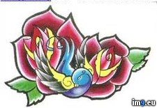 Tags: bird, design, roses, tattoo (Pict. in Birds Tattoos)