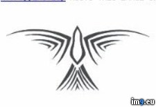 Tags: bird, design, tattoo (Pict. in Celtic Tattoos)