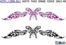 Tags: bisb5, design, tattoo (Pict. in Butterfly Tattoos)