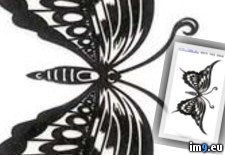 Tags: black, butterfly2, design, tattoo (Pict. in Butterfly Tattoos)