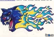 Tags: blue, cat, design, flaming, snarling, tattoo (Pict. in Misc. Animal Tattoos)