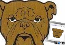 Tags: bulldog, design, tattoo (Pict. in Misc. Animal Tattoos)