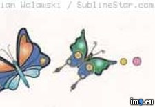Tags: 5x9, butterflies, design, tattoo (Pict. in Lower Back Tattoos)
