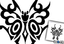 Tags: butterfly3, design, tattoo (Pict. in Butterfly Tattoos)