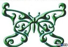 Tags: butterfly3, design, tattoo (Pict. in Butterfly Tattoos)