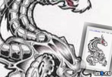 Tags: ced2, design, tattoo (Pict. in Dragon Tattoos)