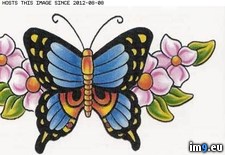Tags: bfly, blue, cei, design, flowers, pink, tattoo (Pict. in Butterfly Tattoos)