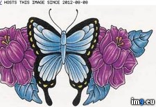 Tags: bfly, blue, cei, design, flowers, ppl, tattoo (Pict. in Butterfly Tattoos)
