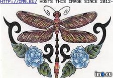 Tags: blue, brown, cei, design, dfly, rose, tattoo (Pict. in Insects Tattoos)