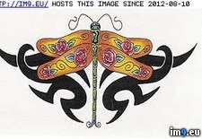 Tags: black, cei, design, dfly, rosewing, tattoo (Pict. in Insects Tattoos)
