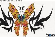Tags: bfly, cei, design, pink, tattoo, tribal, yellow (Pict. in Butterfly Tattoos)