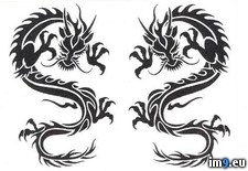 Tags: black, ces, design, dragons, tattoo, tribal (Pict. in Dragon Tattoos)