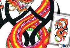 Tags: ces, design, dragon, red, tattoo, tribal (Pict. in Dragon Tattoos)