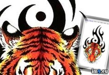 Tags: ces, design, head, tattoo, tiger, tribal (Pict. in Tiger Tattoos)