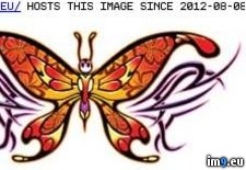 Tags: cest7, design, tattoo (Pict. in Butterfly Tattoos)