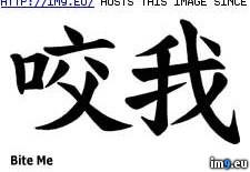 Tags: biteme, chi, design, tattoo (Pict. in Chinese Tattoos)