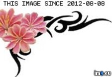 Tags: d515, design, tattoo (Pict. in Flower Tattoos)