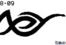 Tags: d521, design, tattoo (Pict. in Tribal Tattoos)