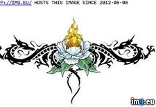 Tags: d8042, design, tattoo (Pict. in Rose Tattoos)