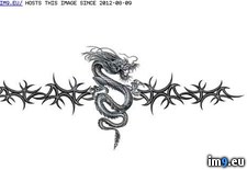 Tags: design, dr810, tattoo (Pict. in Dragon Tattoos)