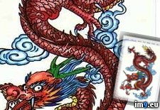 Tags: design, dragon, tattoo (Pict. in Dragon Tattoos)