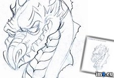 Tags: design, dragon, head, tattoo (Pict. in Dragon Tattoos)