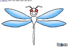 Tags: design, dragonfly, tattoo (Pict. in Insects Tattoos)