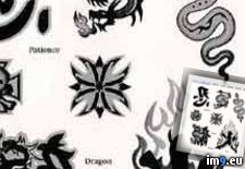 Tags: design, ei201d, tattoo (Pict. in Chinese Tattoos)