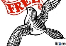 Tags: bird, design, free, tattoo (Pict. in Birds Tattoos)