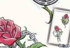 Tags: design, giant, horseshoe, rose, tattoo (Pict. in Rose Tattoos)