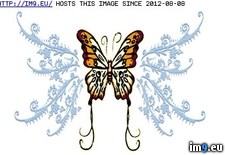 Tags: design, giant, lowerback, tattoo (Pict. in Butterfly Tattoos)